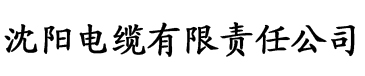 淫秽电影院电缆厂logo